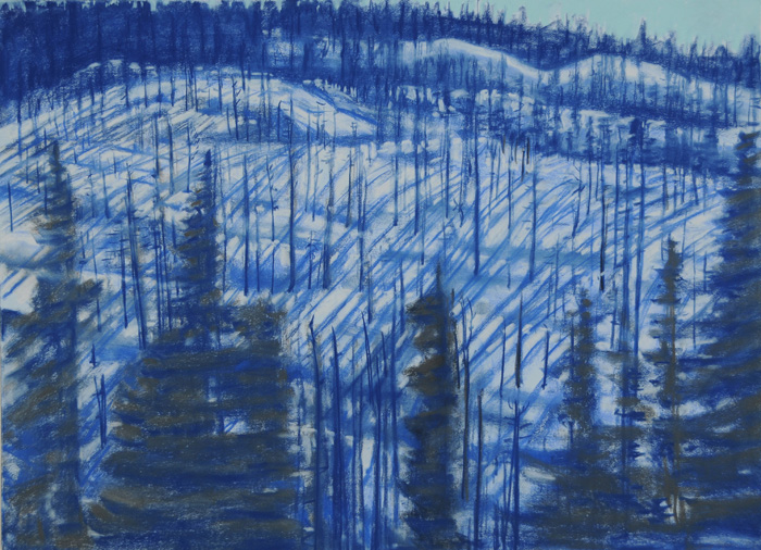 drawing titled Burned Slope In Snow