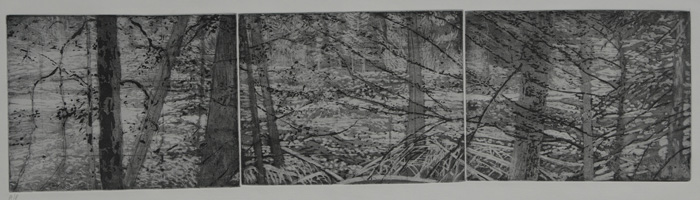 etching titled Nisqually River, Mount Rainier National Park