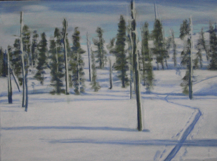 drawing titled Burned Forest Ski Trail